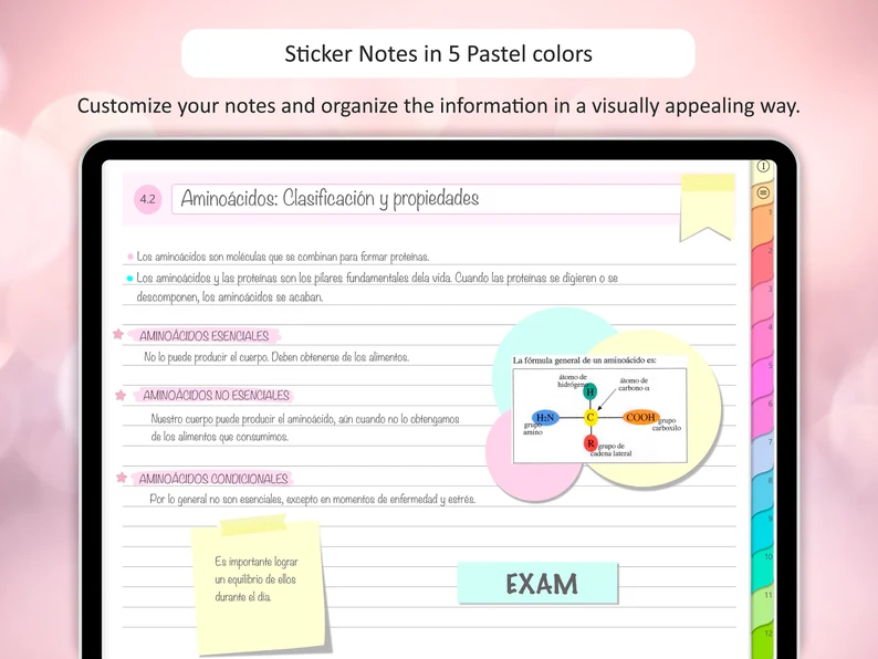 Pastel Digital Sticky Notes – Rainbow Digital Stickers for Notebooks, Planners, Reminders & Student Use